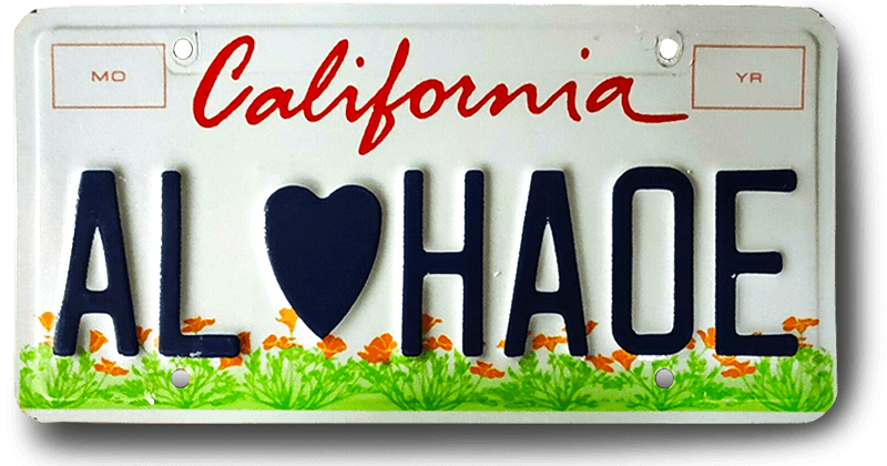 license plate